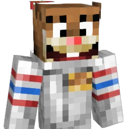 LOLocopter1 Minecraft avatar bust