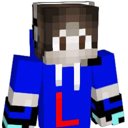 LPG2005 Minecraft avatar bust