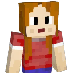 LR221 Minecraft avatar bust