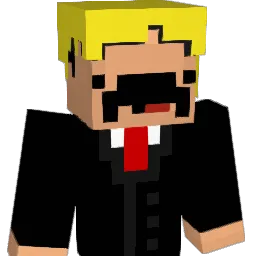 LS2001 Minecraft avatar bust