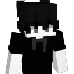 LSIQ73 Minecraft avatar bust