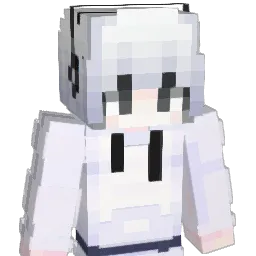 LSLDAODAOA Minecraft avatar bust