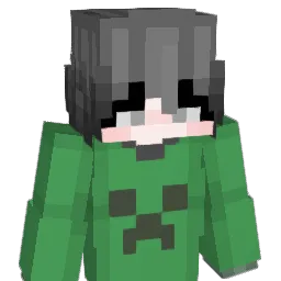 LSLR's Minecraft skin