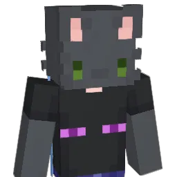 LSR2007 Minecraft avatar bust