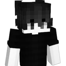 LSV Minecraft avatar bust