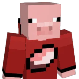 LS_Zocker2006 Minecraft avatar bust