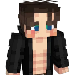 LT0416 Minecraft avatar bust
