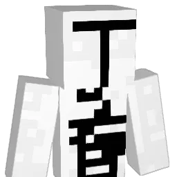 LTDzz Minecraft avatar bust