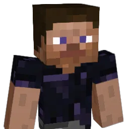 L_1030 Minecraft avatar bust