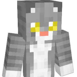 LaLa_No Minecraft avatar bust