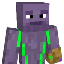 Lachboy19 Minecraft avatar bust