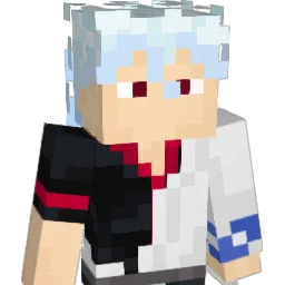 Lain_Lain_L1 Minecraft avatar bust