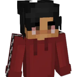 Lalou17 Minecraft avatar bust