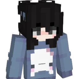 Lan246 Minecraft avatar bust
