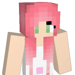 LandOLlakes Minecraft avatar bust