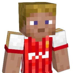 Langers5 Minecraft avatar bust