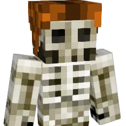 LarryTFT's Minecraft skin