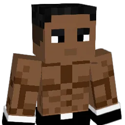 LarrytheRaccon Minecraft avatar bust