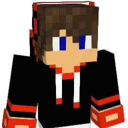 LarssonIl Minecraft avatar bust