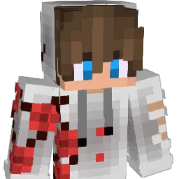 Lasefuuuuu Minecraft avatar bust