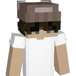Lasse999 Minecraft avatar bust