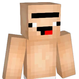 LaurinGHG10 Minecraft avatar bust