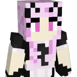 Lawschool888 Minecraft avatar bust