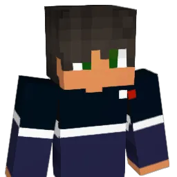 Lb17x Minecraft avatar bust