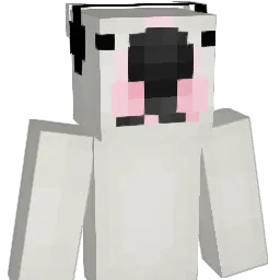 LeAlbinos Minecraft avatar bust