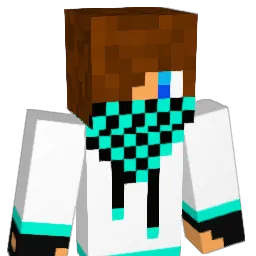 LeFouDu40 Minecraft avatar bust