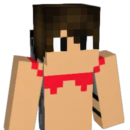 LeWiiS_x Minecraft avatar bust