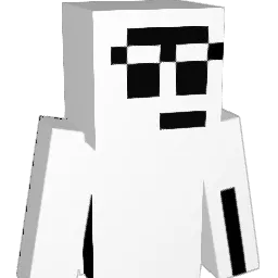 LeXei8000 Minecraft avatar bust