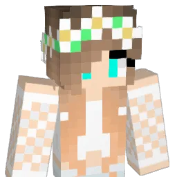 Le__aaa's Minecraft skin