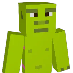 Lea_361 Minecraft avatar bust