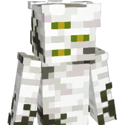 LeeShenVT