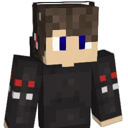 Leel98 Minecraft avatar bust