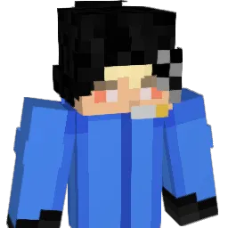 Leesamu's Minecraft skin