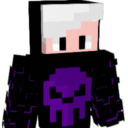 Leewi1 Minecraft avatar bust