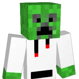 LegoMaster1861 Minecraft avatar bust