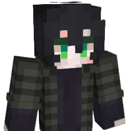 Legoskiner