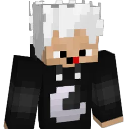 LeiTogUinHo Minecraft avatar bust