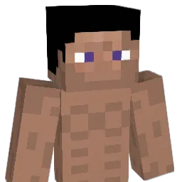 Leny003 Minecraft avatar bust