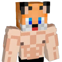 Leo_W07 Minecraft avatar bust