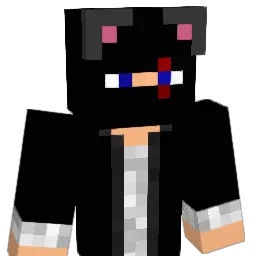 LesiuDSGN Minecraft avatar bust
