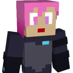 Lesnibits Minecraft avatar bust