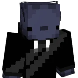 Leszek2137 Minecraft avatar bust