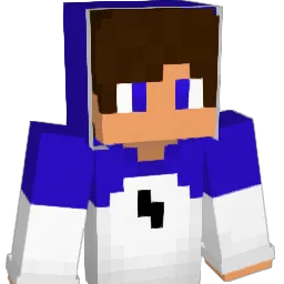 LhamaAssassina Minecraft avatar bust