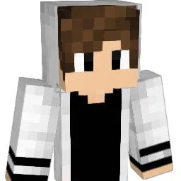 Li360 Minecraft avatar bust