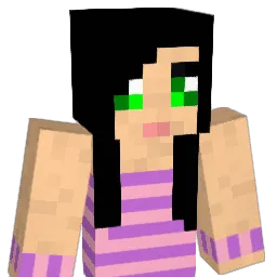 LiLo_78 Minecraft avatar bust