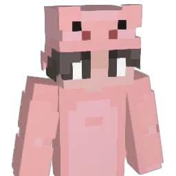 Liaaa126 Minecraft avatar bust